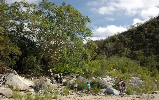  Nature Hikes 